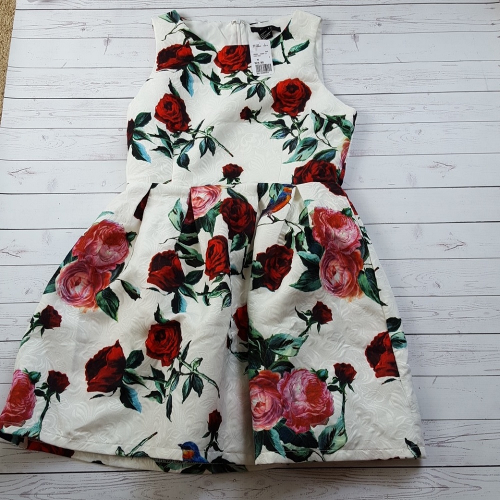 Forever 21 floral skater dress